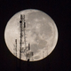 Imagen para el artículo titulado Las mejores fotos del eclipse total y la superluna de ayer